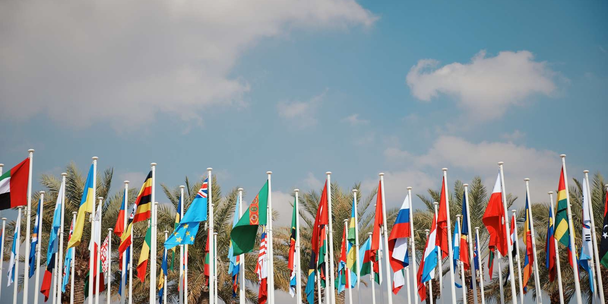 Flags COP28