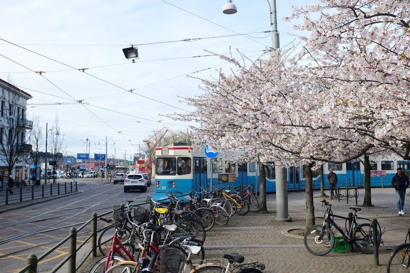 Nordic Green Transport