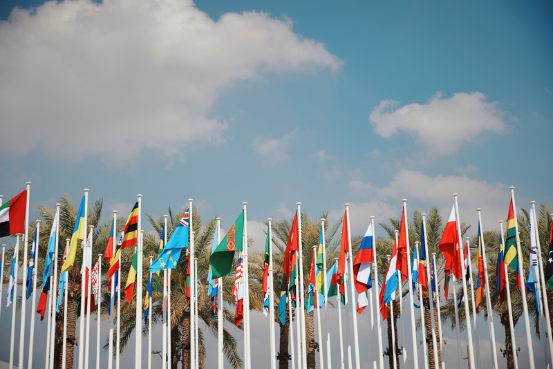 COP28 flags