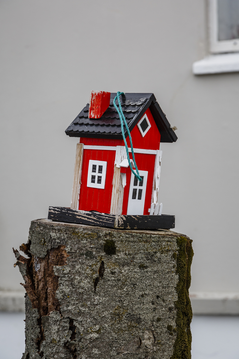 Minihus i Reykjavik