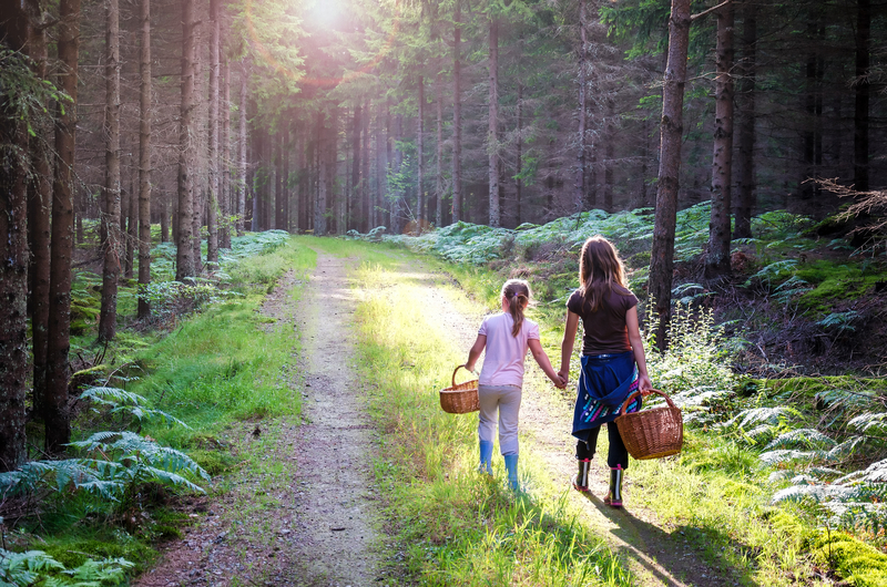 Children in forest