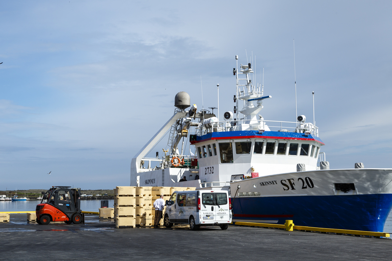 Fiskeri ved Grindavik på Island